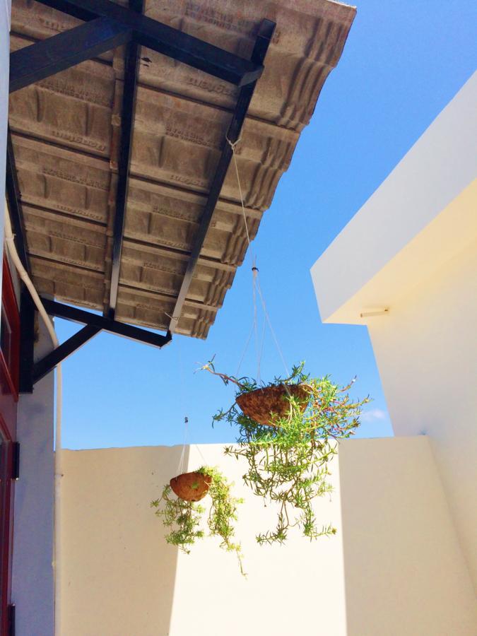 Homestay Bot Bien